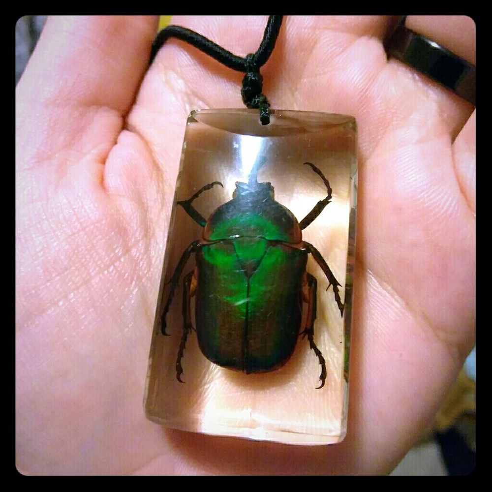 🖖Fig Beetle Necklace